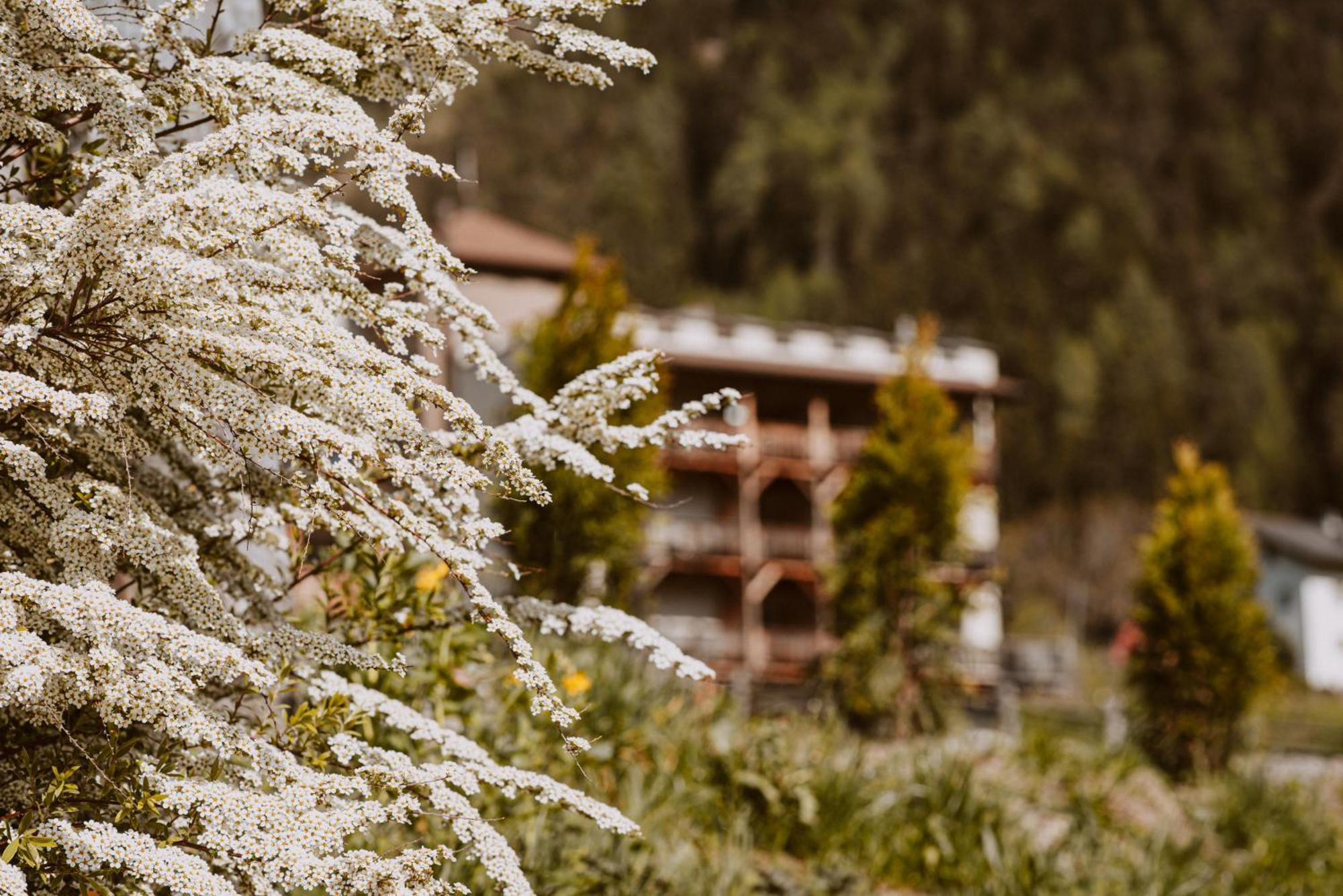 Hotel Bergschloessl Luson Buitenkant foto